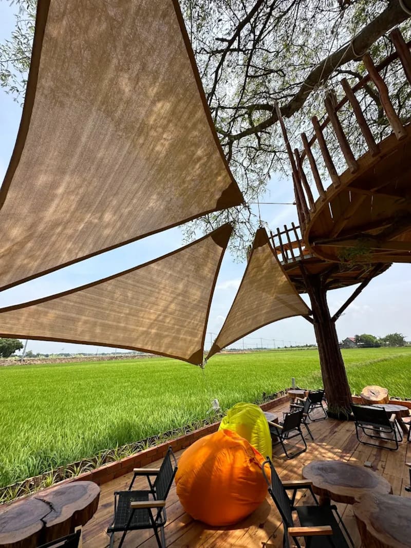 Lúa Cafe Vũng Tàu: Quán cà phê giữa đồng ruộng cực chill 6