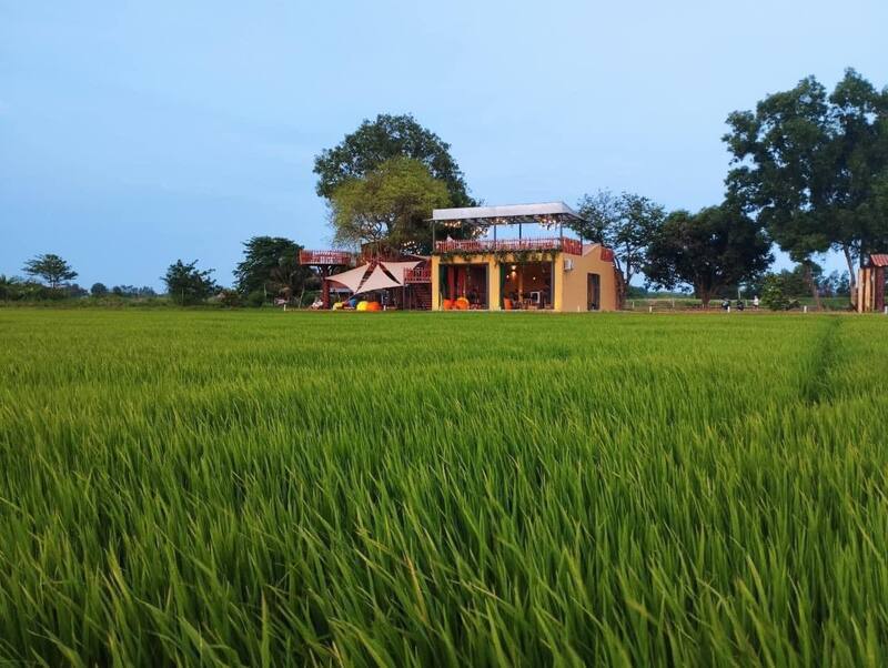 Lúa Cafe Vũng Tàu: Quán cà phê giữa đồng ruộng cực chill 2