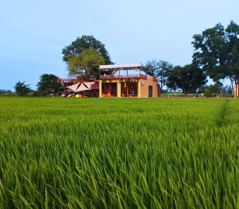 Lúa Cafe Vũng Tàu: Quán cà phê giữa đồng ruộng cực chill
