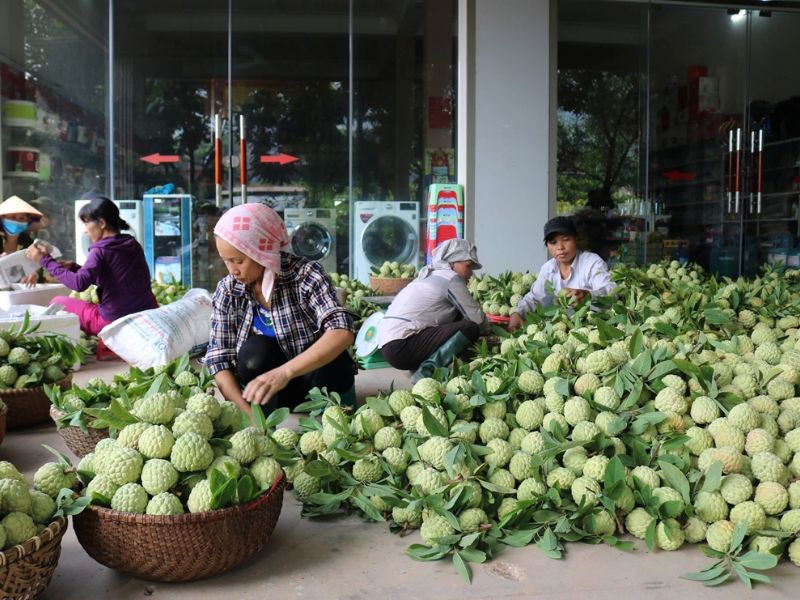 Lục Nam Bắc Giang, điểm đến xanh mát cho chuyến đi cuối tuần 9