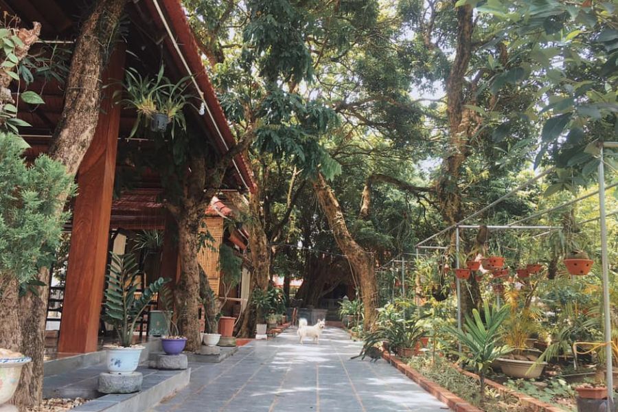 Luna Nature Homestay, nơi nghỉ dưỡng mang nét đẹp của sự bình dị 3