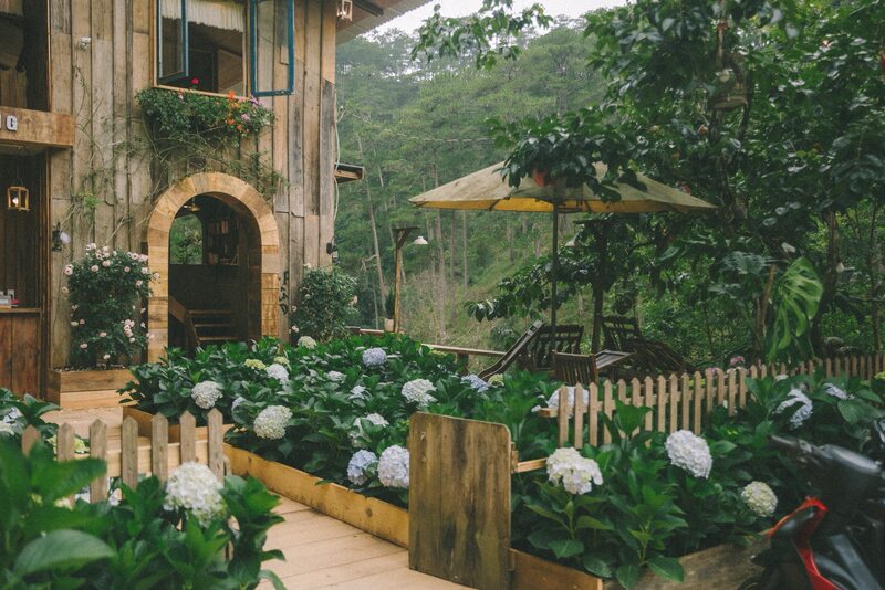 Top 15 quán cafe Đà Lạt xinh đẹp, mộng mơ nhất 3