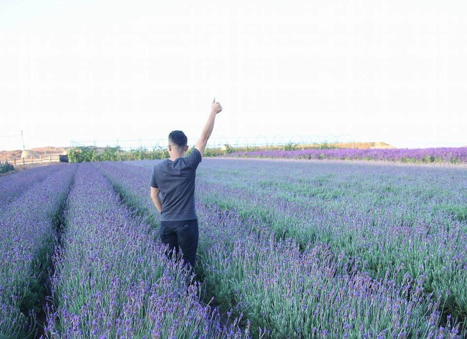 Lung linh ánh tím mùa hoa lavender Đà Lạt - Khoảnh khắc không thể bỏ lỡ 8