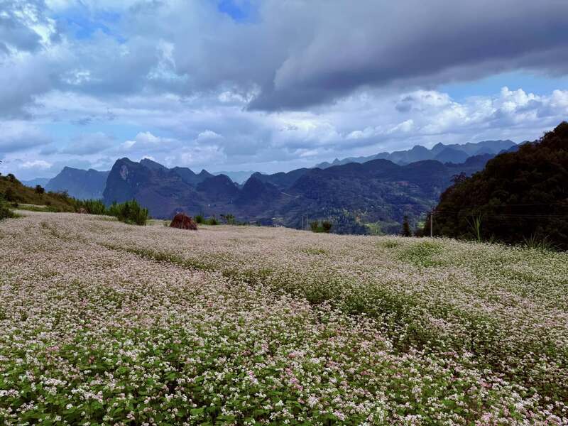 Lũng Táo, vùng biên viễn bình yên tại Hà Giang 2