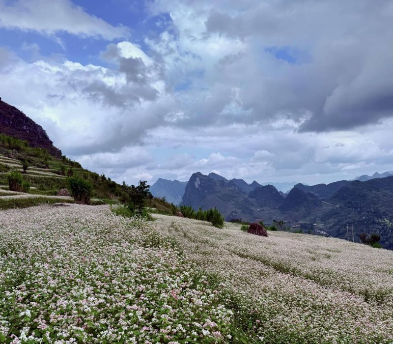 Lũng Táo, vùng biên viễn bình yên tại Hà Giang