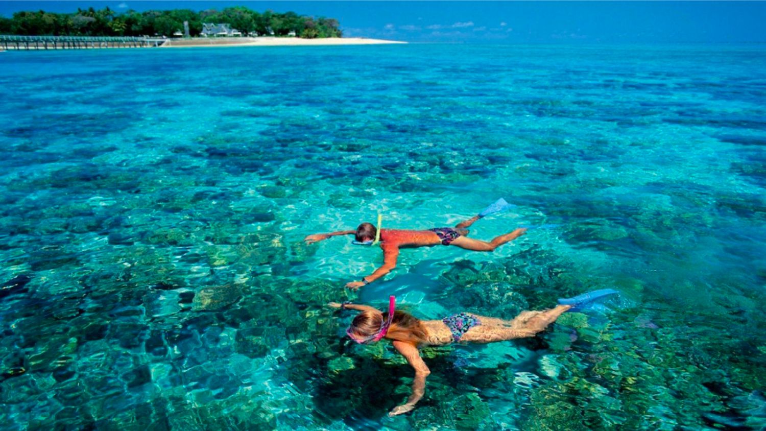Lưu ngay Lịch trình ngắm san hô xem Vích ở Côn Đảo siêu thú vị 6