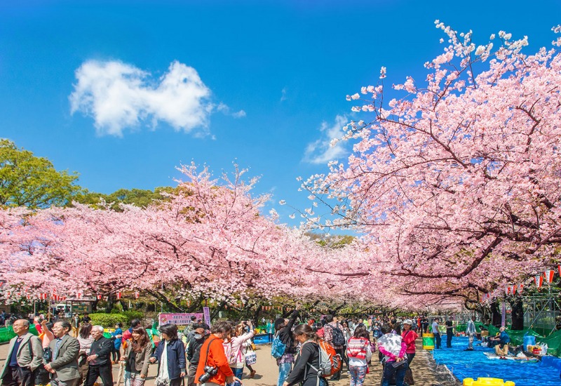 Khám phá công viên Ueno: công viên lâu đời nhất tại Tokyo 10