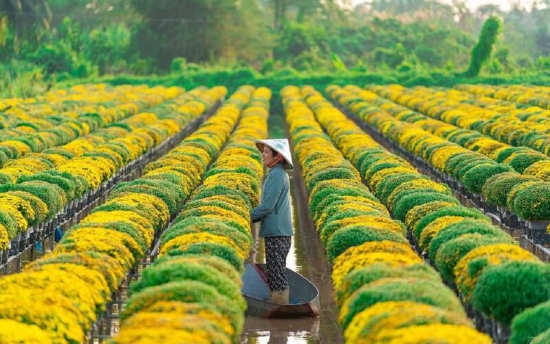 Mã bưu chính (Mã ZIP) Đồng Tháp 2026 mới nhất sau sáp nhập 2