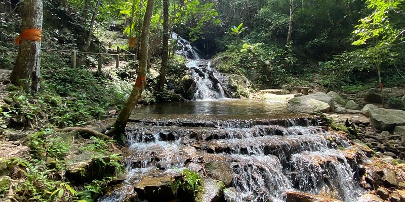 Mae Kampong: Ngôi làng mộng mơ giữa núi rừng Thái Lan 7