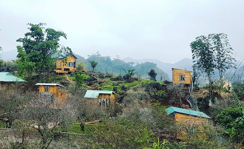 Ghé thăm MAMA's House, ngôi nhà gỗ bé xinh bên sườn đồi 2