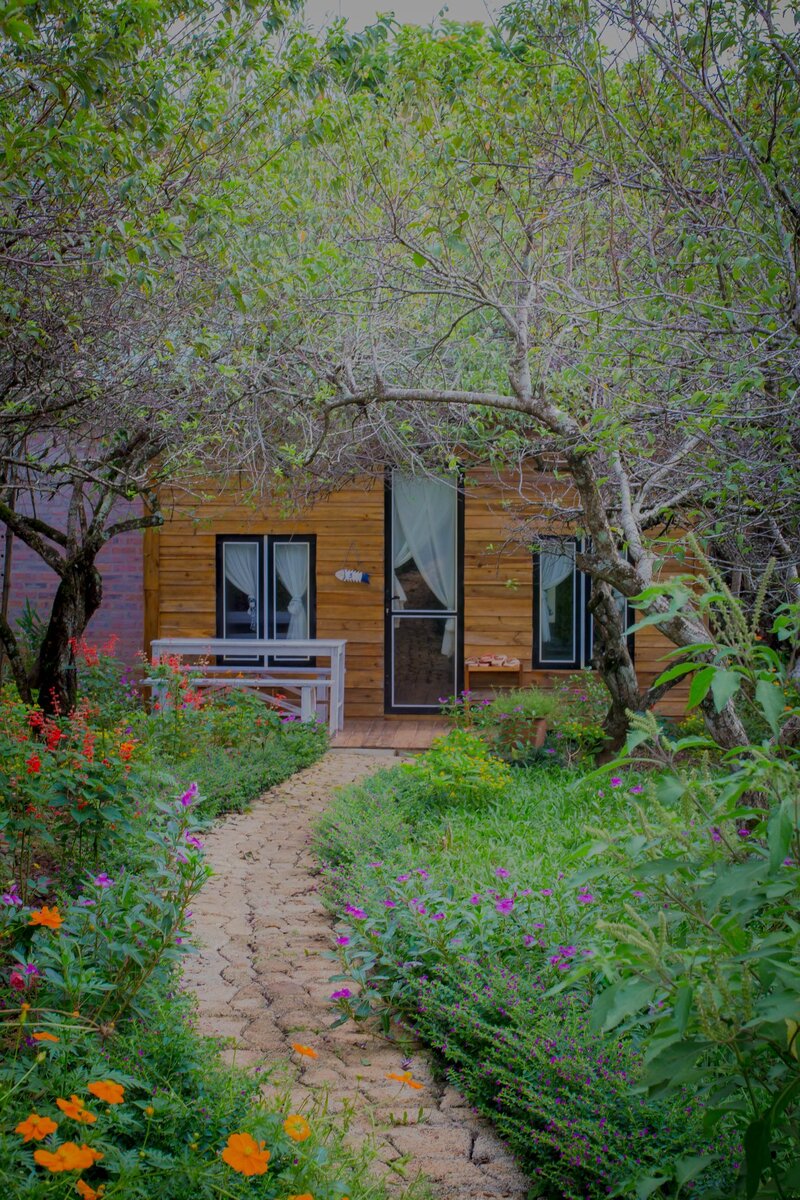 Ghé thăm MAMA's House, ngôi nhà gỗ bé xinh bên sườn đồi 3