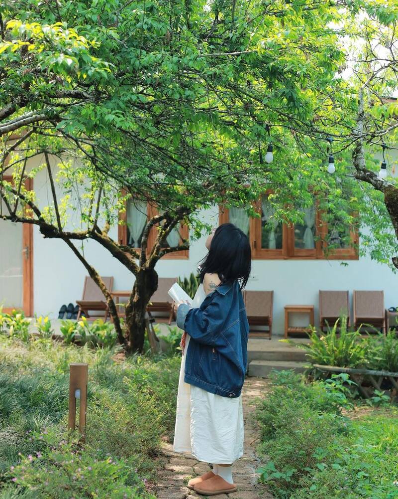 Ghé thăm MAMA's House, ngôi nhà gỗ bé xinh bên sườn đồi 6