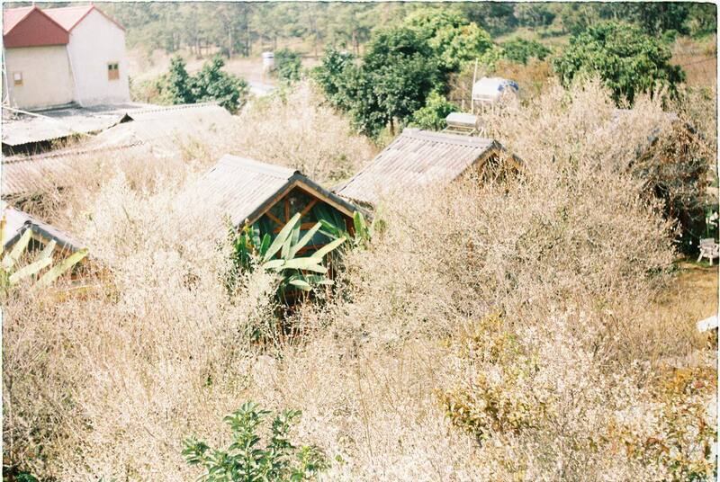 Ghé thăm MAMA's House, ngôi nhà gỗ bé xinh bên sườn đồi 18