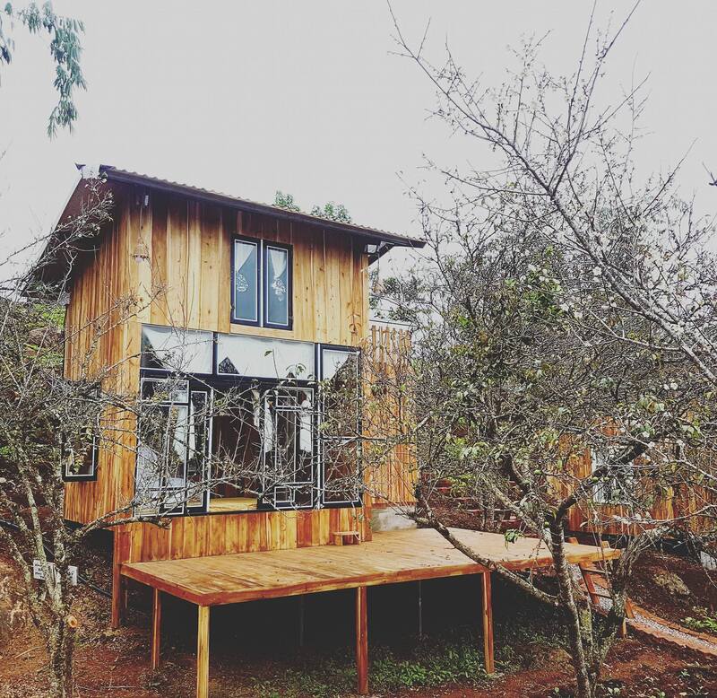 Ghé thăm MAMA's House, ngôi nhà gỗ bé xinh bên sườn đồi 11