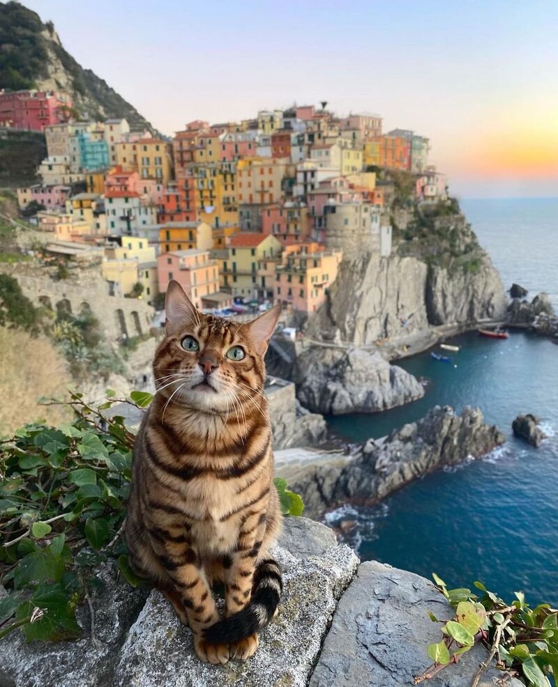 Ngôi làng Manarola: Viên ngọc sắc màu bên bờ biển Ý 5