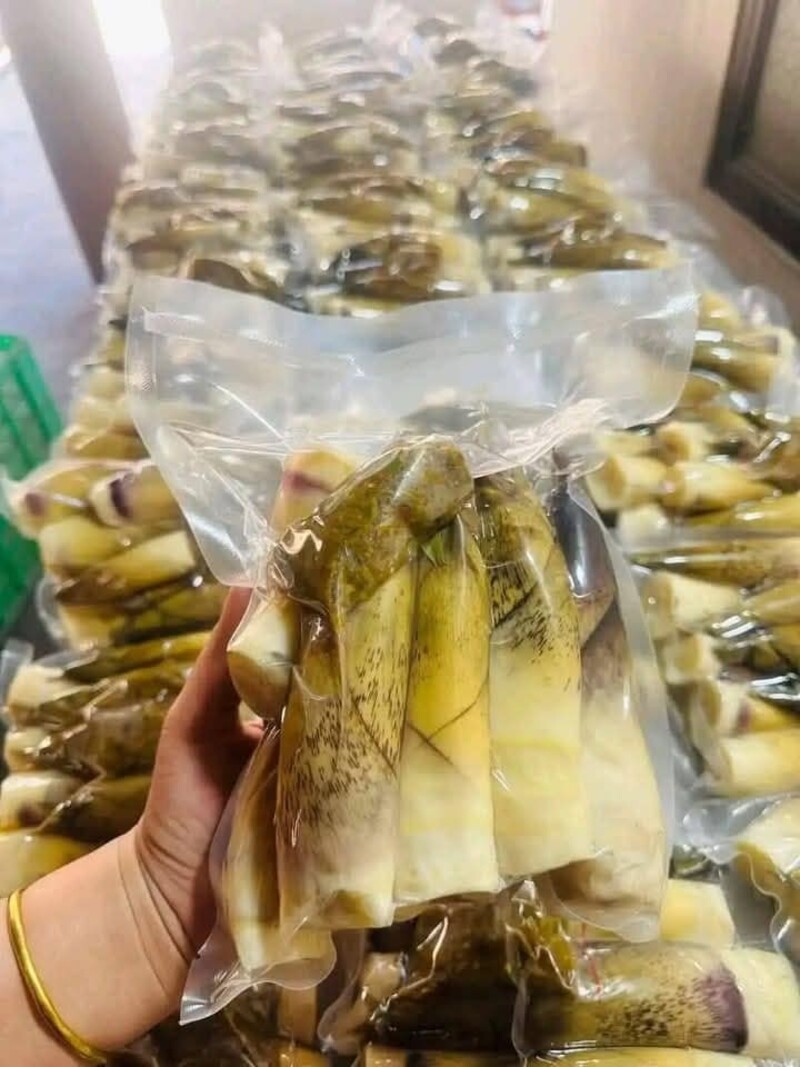 Đặc sản măng vầu đắng ngọt của núi rừng Tây Bắc 7