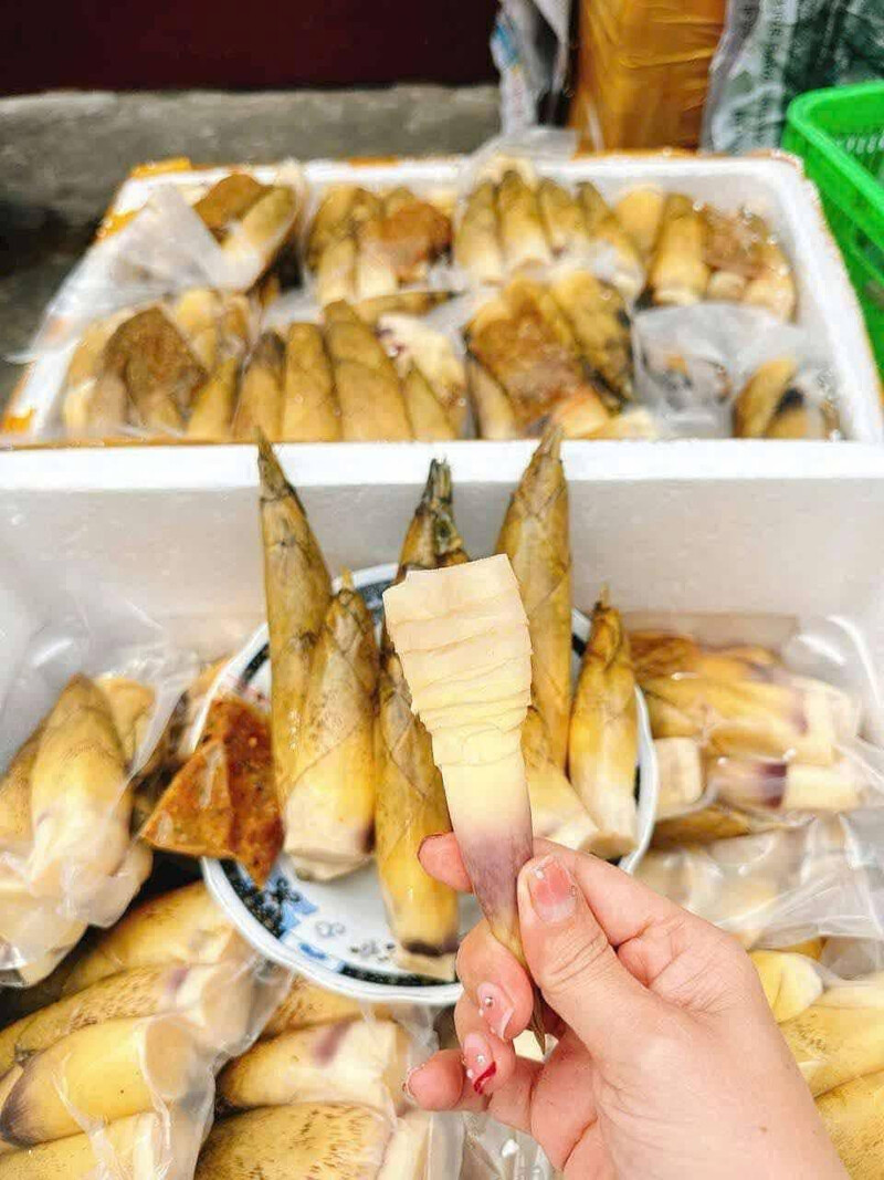 Đặc sản măng vầu đắng ngọt của núi rừng Tây Bắc 9