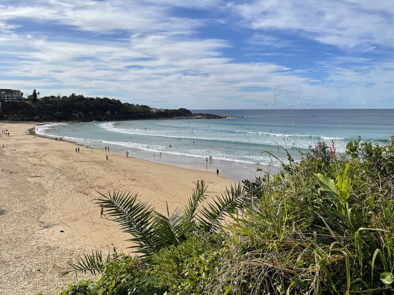 Manly beach thiên đường biển xanh và vô số trải nghiệm ở Sydney Úc 6