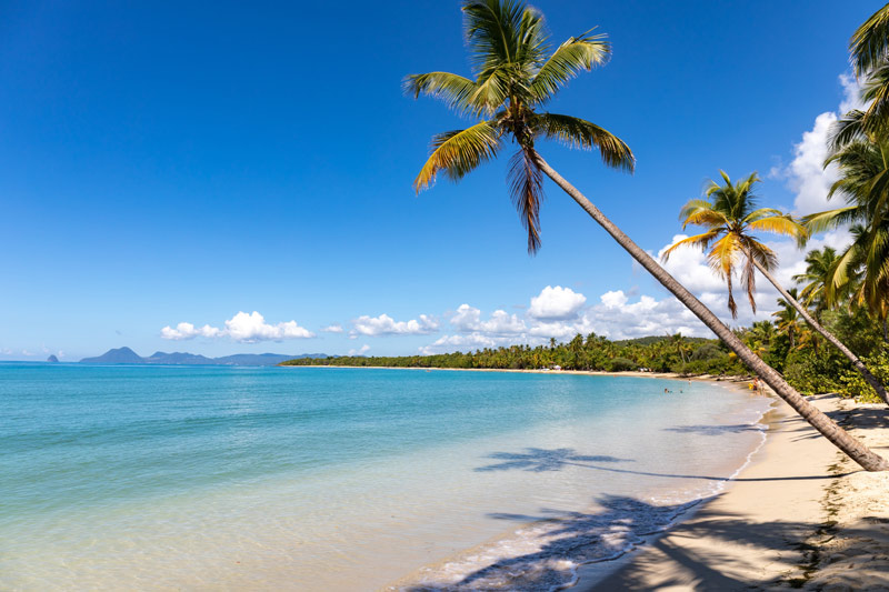 Khám phá Martinique hòn đảo tuyệt đẹp của vùng biển Caribbean 4