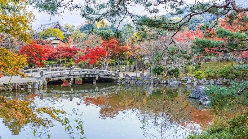 Maruyama Park Kyoto, không gian vườn Nhật kiêu hãnh với cây anh đào rũ Gion 3