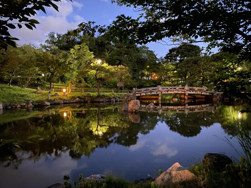 Maruyama Park Kyoto, không gian vườn Nhật kiêu hãnh với cây anh đào rũ Gion 5