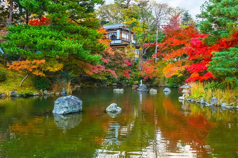 Maruyama Park Kyoto, không gian vườn Nhật kiêu hãnh với cây anh đào rũ Gion 7