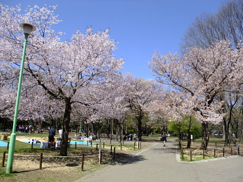 Maruyama Park Sapporo, ốc đảo thiên nhiên giữa lòng Hokkaido 4