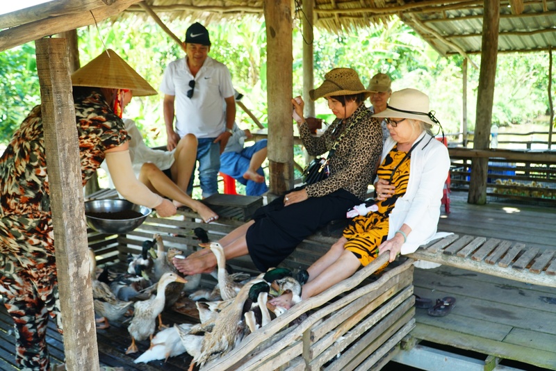 Massage vịt là gì? Khám phá trải nghiệm độc lạ tại Cần Thơ và Phong Nha 2