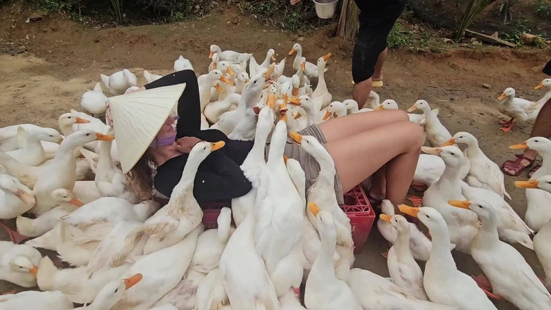 Massage vịt là gì? Khám phá trải nghiệm độc lạ tại Cần Thơ và Phong Nha 4