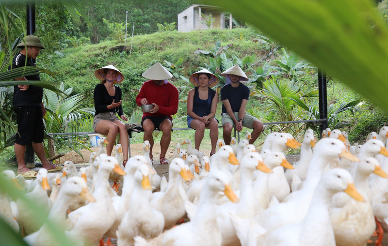 Massage vịt là gì? Khám phá trải nghiệm độc lạ tại Cần Thơ và Phong Nha 5