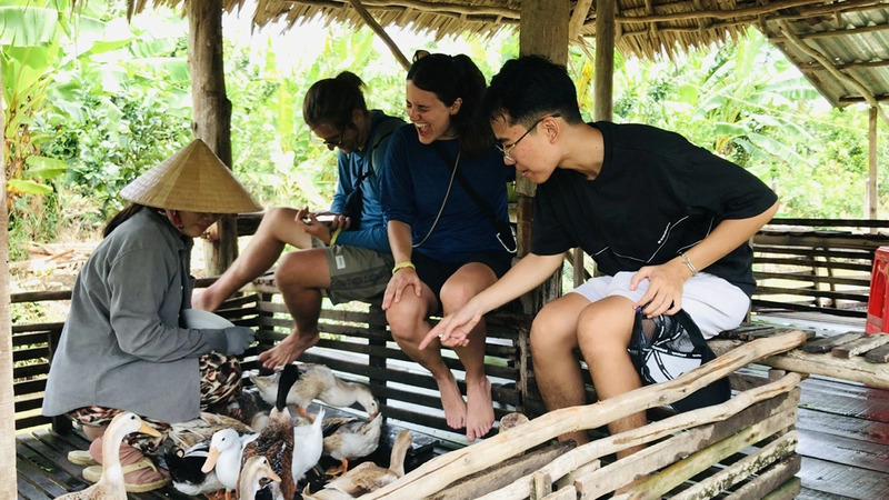 Massage vịt là gì? Khám phá trải nghiệm độc lạ tại Cần Thơ và Phong Nha 6