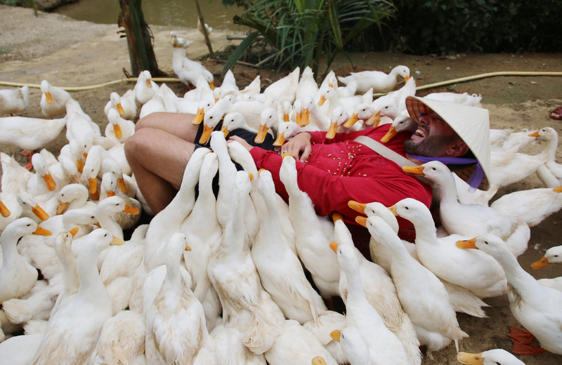 Massage vịt là gì? Khám phá trải nghiệm độc lạ tại Cần Thơ và Phong Nha 8