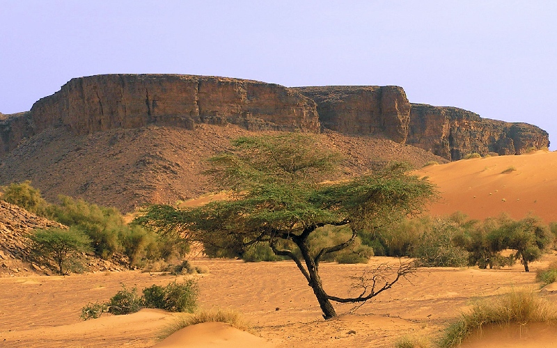 Kinh nghiệm du lịch Mauritania chi tiết từ A đến Z 3