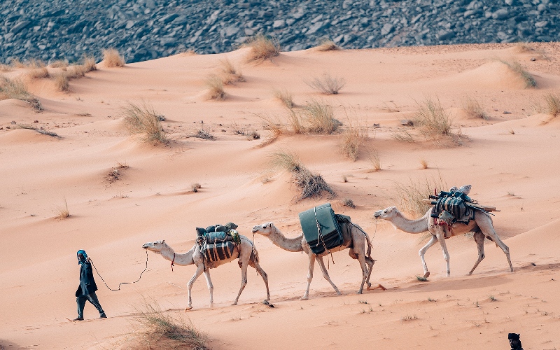 Kinh nghiệm du lịch Mauritania chi tiết từ A đến Z 10