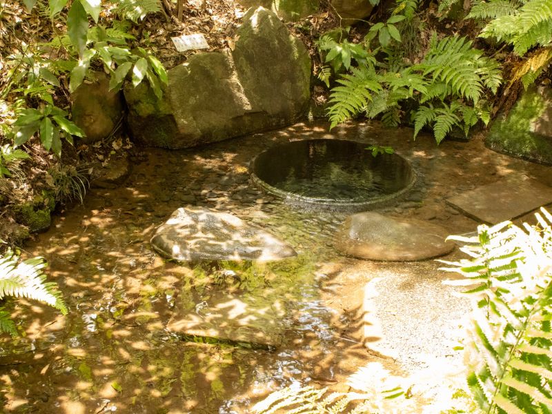 Dạo bước quanh ngôi đền Meiji Jingu đầy linh thiêng của Nhật Bản 11