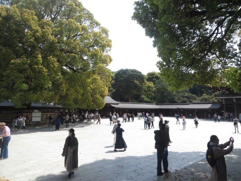 Dạo bước quanh ngôi đền Meiji Jingu đầy linh thiêng của Nhật Bản 4