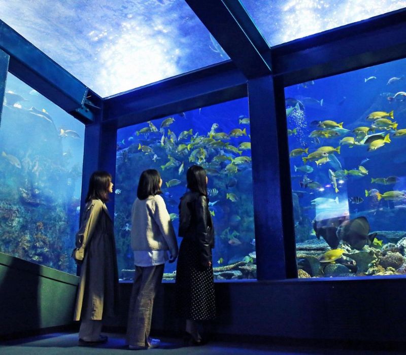 Mie Nhật Bản: Cẩm nang du lịch tự túc cho hành trình vạn trải nghiệm 9