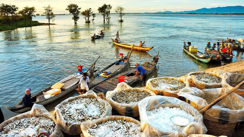 Miền Tây mùa nước nổi đậm sức sống của mảnh đất phù sa 3