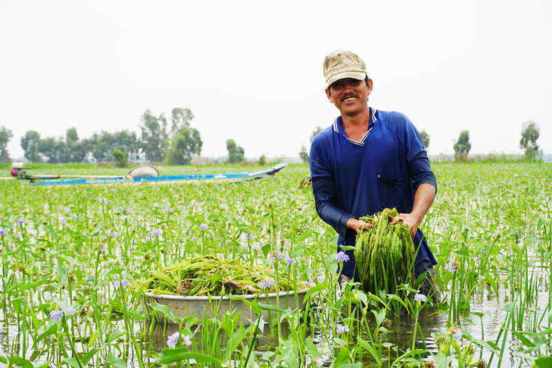 Miền Tây mùa nước nổi đậm sức sống của mảnh đất phù sa 7