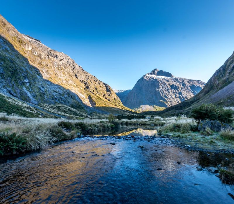 Khám phá Milford Sound, vịnh hẹp hoang sơ đẹp nhất thế giới 2