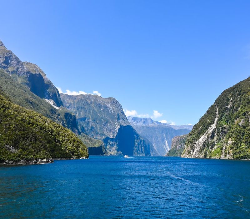 Khám phá Milford Sound, vịnh hẹp hoang sơ đẹp nhất thế giới 3