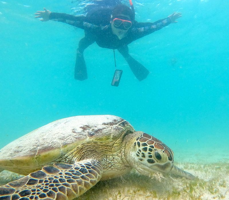 Kinh nghiệm khám phá đảo Miyakojimam, thiên đường xanh của Nhật 6