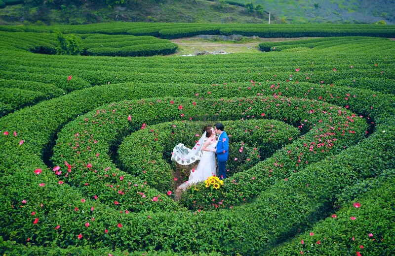 Du lịch Mộc Châu tháng 6 có gì đẹp khiến bao người đắm say? 5