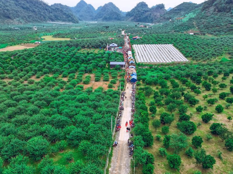 Khám phá Mộc Châu tháng 8: Cao nguyên xanh mát và nhiều trải nghiệm thú vị 7