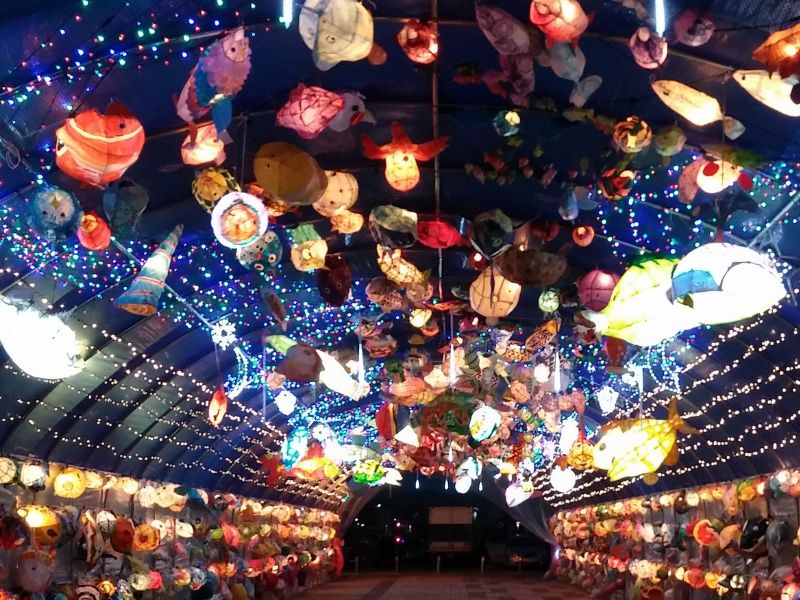Check-in Mokpo: 7 địa điểm sống ảo vừa đẹp vừa đậm chất Hàn 12