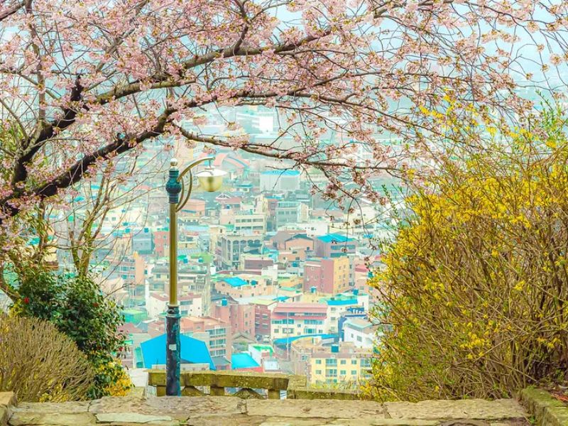 Check-in Mokpo: 7 địa điểm sống ảo vừa đẹp vừa đậm chất Hàn 3