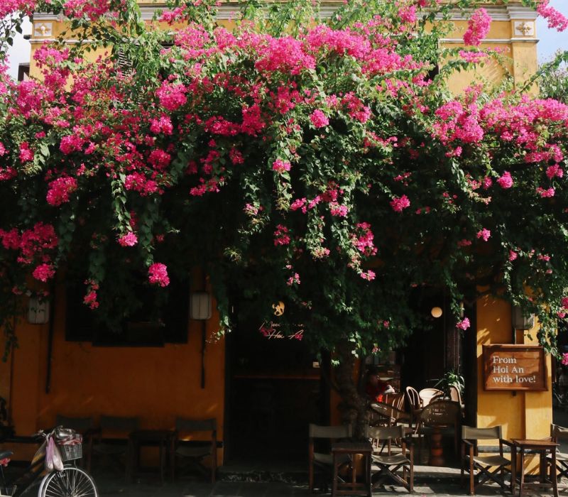 Moments Hoi An: Góc nhỏ 'From Hoi An With Love' giữa lòng phố cổ 2