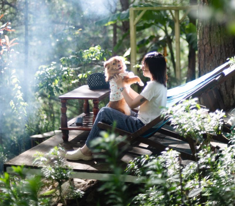 Moonrise Garden Dalat: Trải nghiệm nghỉ dưỡng an yên giữa rừng thông xanh 6