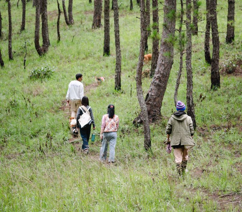 Moonrise Garden Dalat: Trải nghiệm nghỉ dưỡng an yên giữa rừng thông xanh 4