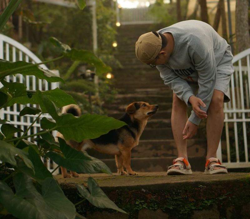 Moonrise Garden Dalat: Trải nghiệm nghỉ dưỡng an yên giữa rừng thông xanh 11